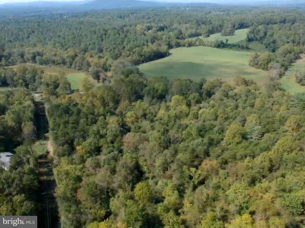 0 Hazel River Road Rixeyville, VA 22737 - Photo 24 of 39