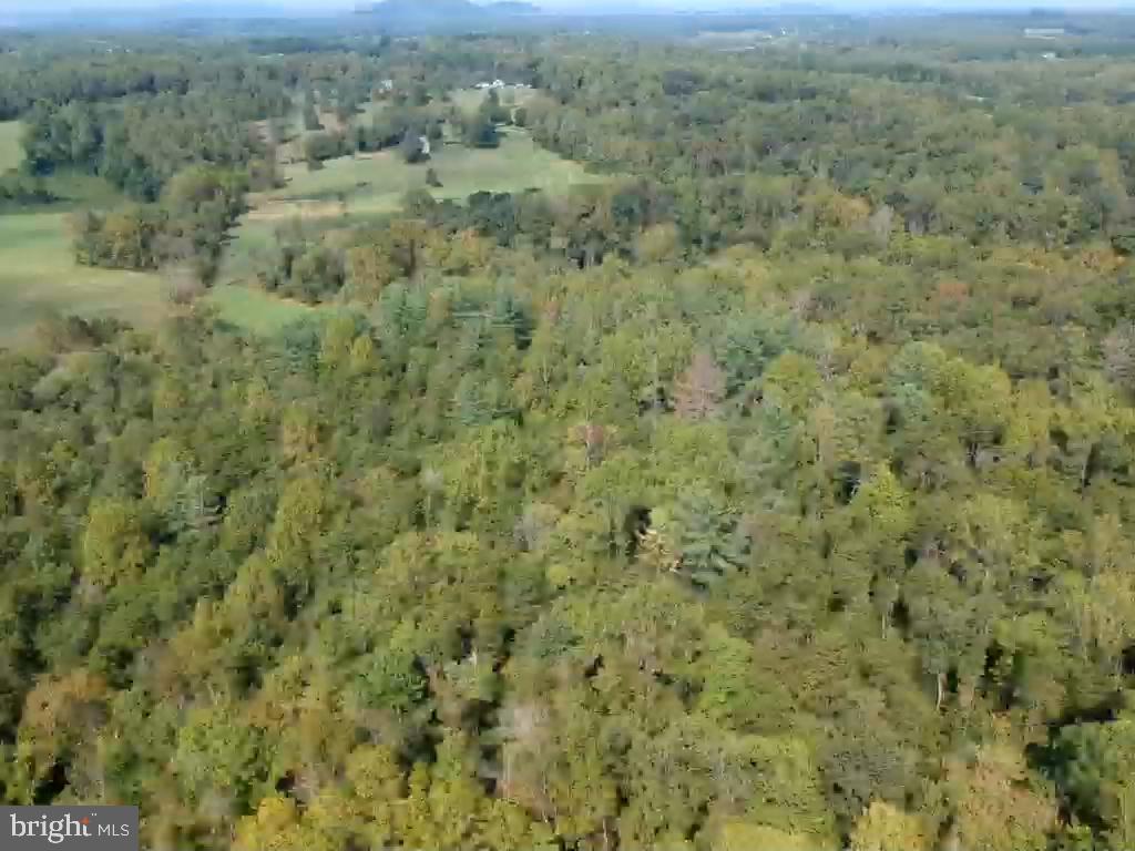 0 Hazel River Road Rixeyville, VA 22737 - Photo 25 of 39