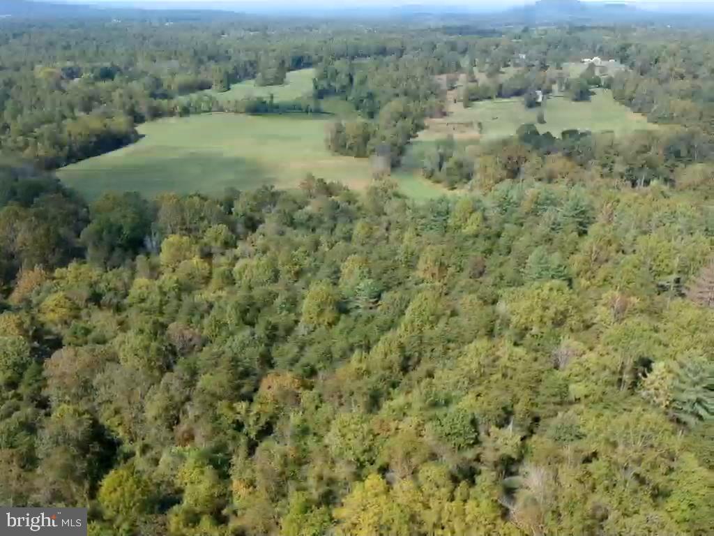 0 Hazel River Road Rixeyville, VA 22737 - Photo 26 of 39