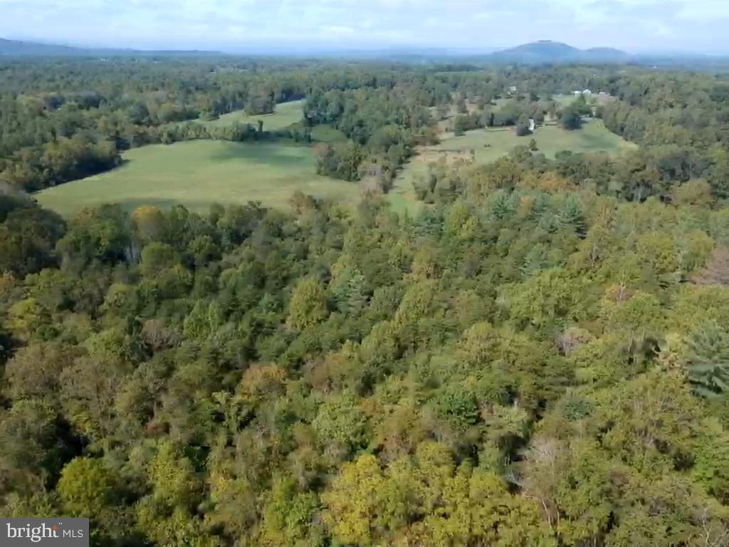 0 Hazel River Road Rixeyville, VA 22737 - Photo 27 of 39
