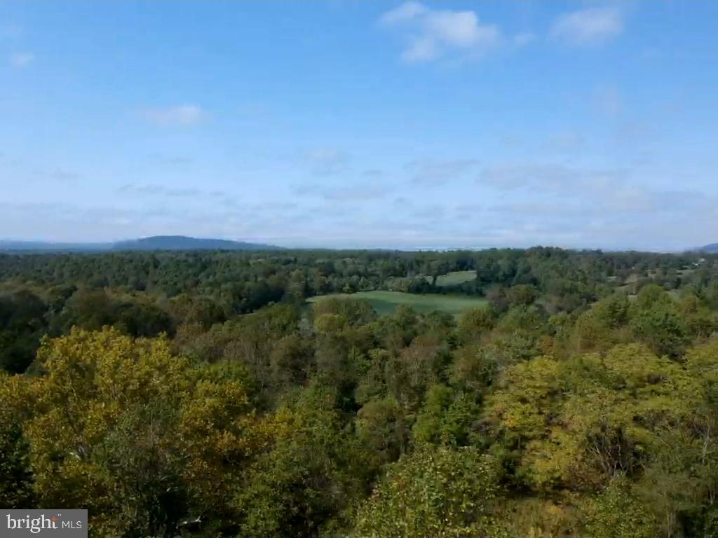 0 Hazel River Road Rixeyville, VA 22737 - Photo 28 of 39