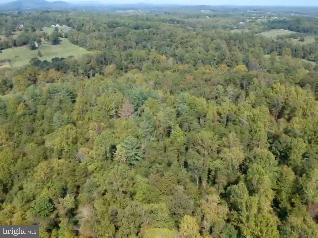 0 Hazel River Road Rixeyville, VA 22737 - Photo 29 of 39