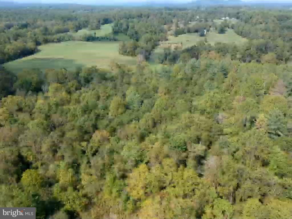 0 Hazel River Road Rixeyville, VA 22737 - Photo 30 of 39