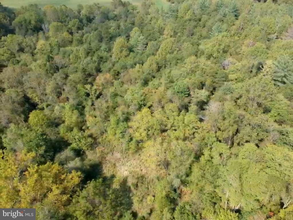 0 Hazel River Road Rixeyville, VA 22737 - Photo 31 of 39