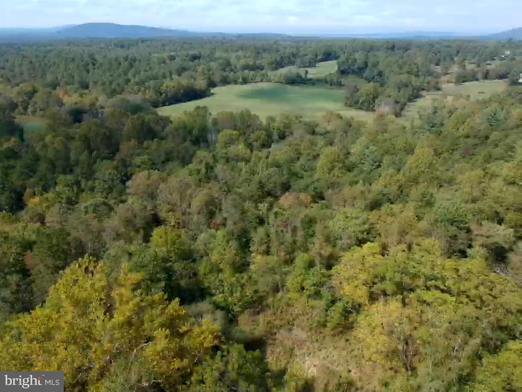 0 Hazel River Road Rixeyville, VA 22737 - Photo 32 of 39
