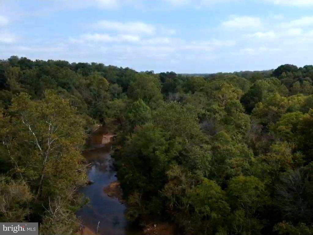 0 Hazel River Road Rixeyville, VA 22737 - Photo 34 of 39
