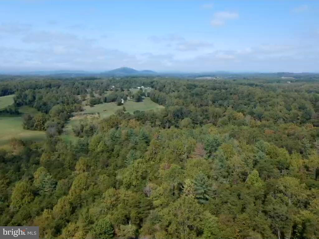 0 Hazel River Road Rixeyville, VA 22737 - Photo 38 of 39