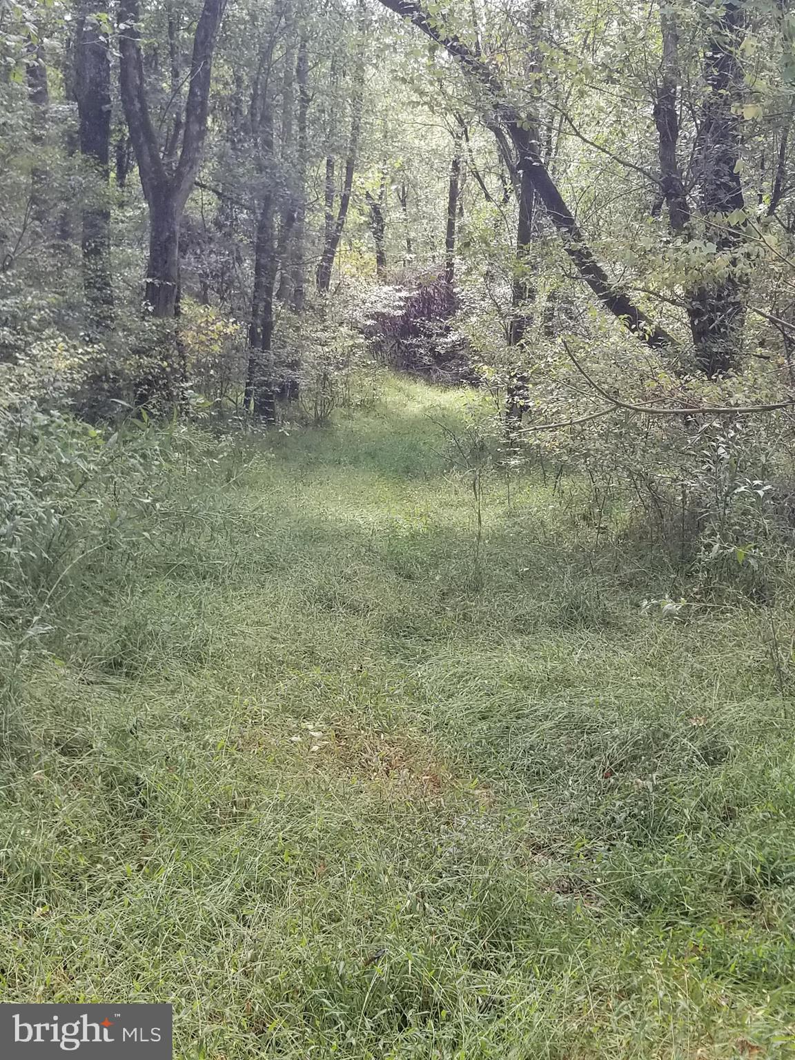 0 Hazel River Road Rixeyville, VA 22737 - Photo 5 of 39
