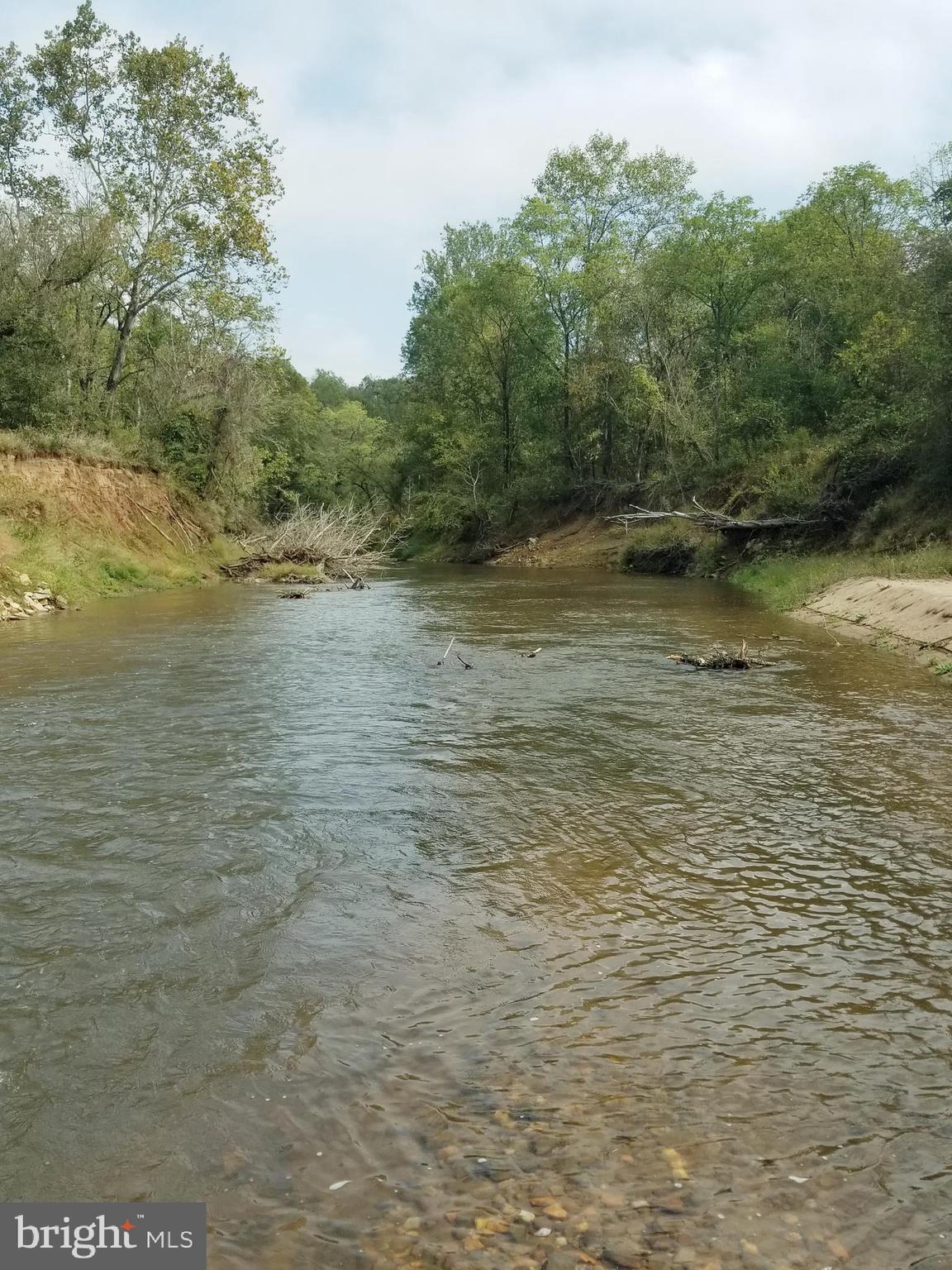 0 Hazel River Road Rixeyville, VA 22737 - Photo 10 of 39