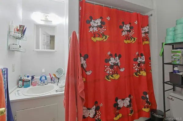 a bathroom with a sink mirror and vanity