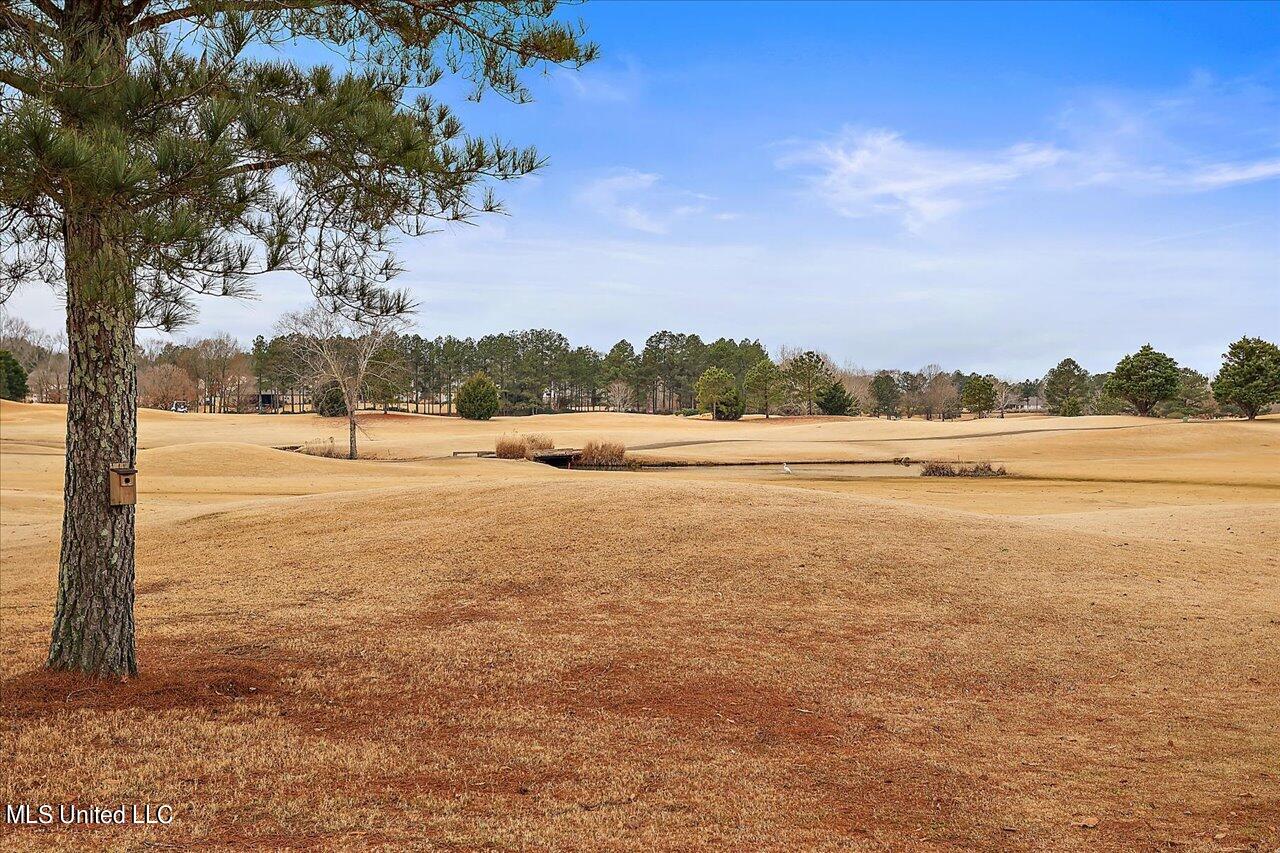 115 Burne Run Madison, MS 39110 - Photo 47 of 48 47-115 Burne Run