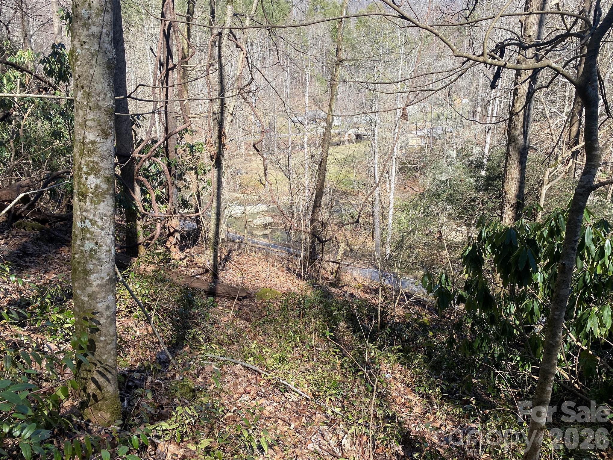 0 Big Laurel Road Marshall, NC 28753 - Photo 12 of 15 Gallery Image 12