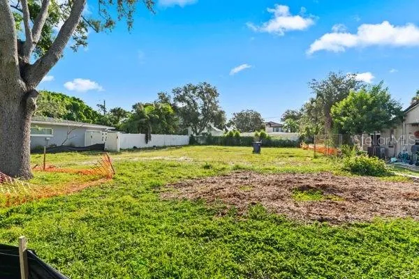 a view of a large trees with a yard
