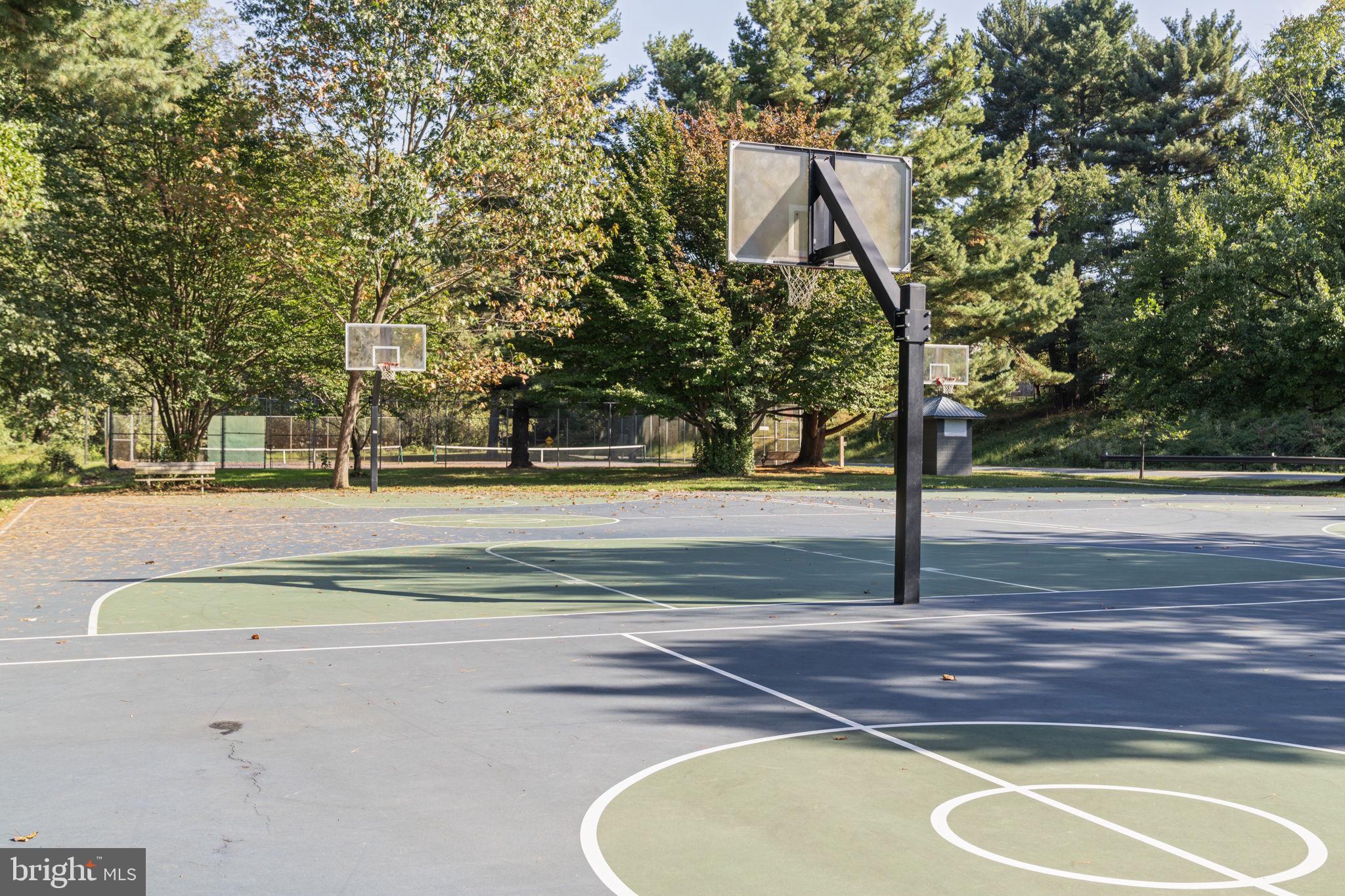 10934 Rocky Mt Way Silver Spring, MD 20902 - Photo 49 of 51 a swimming pool with view of trees