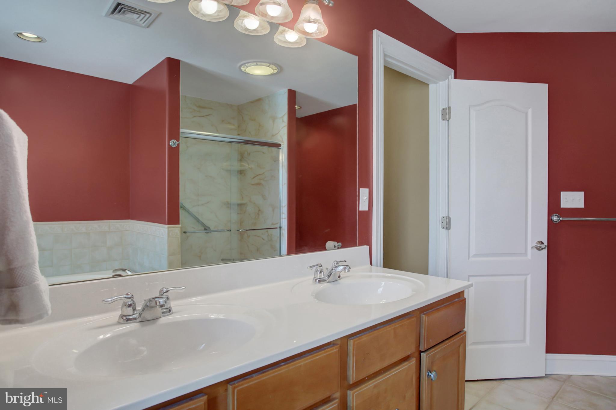 20 Netherby Lane Carlisle, PA 17015 - Photo 55 of 81 a bathroom with a sink and a mirror