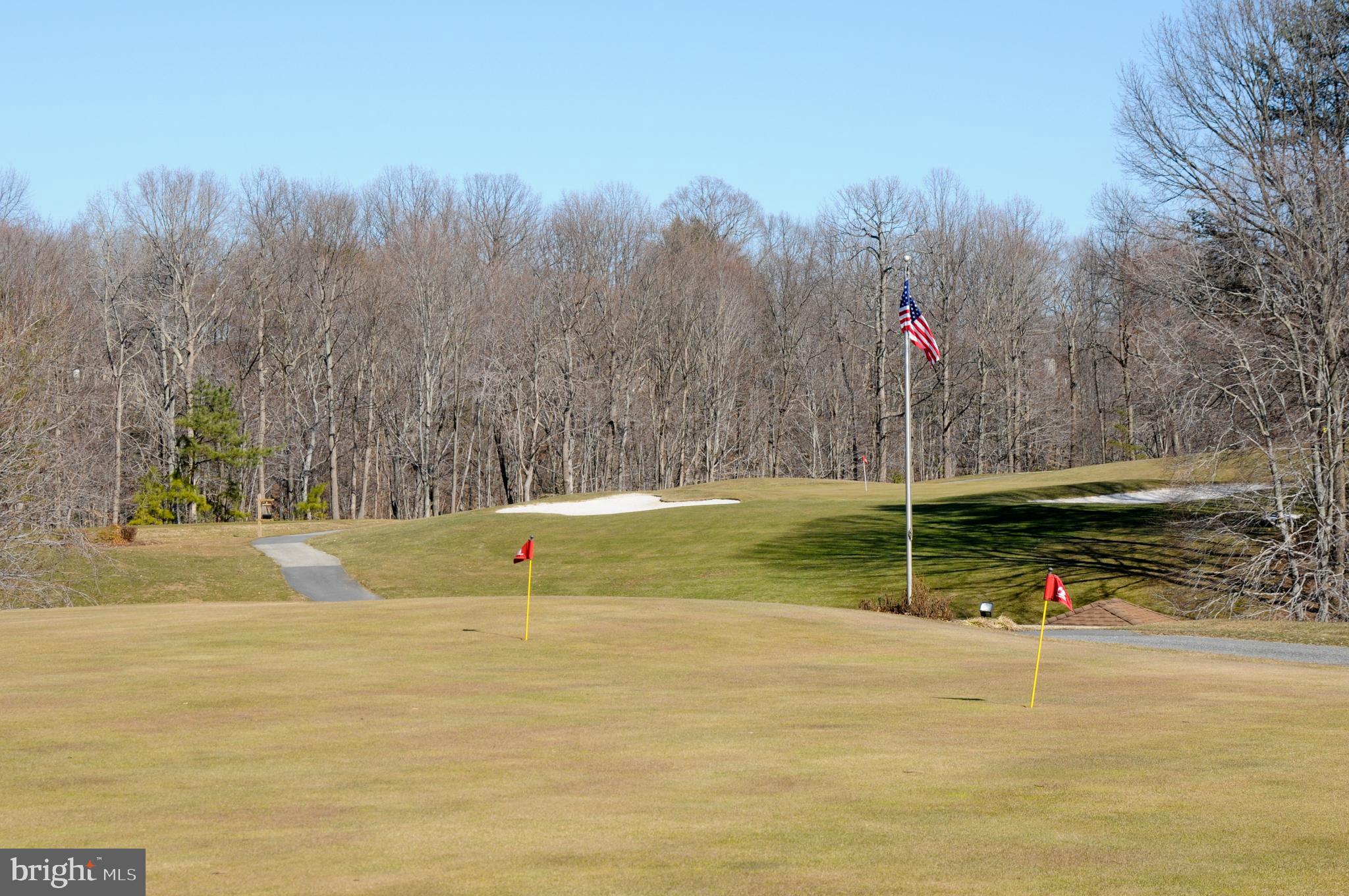 932 Riversedge Circle Annapolis, MD 21401 - Photo 39 of 42 a view of a swimming pool with a yard and palm trees