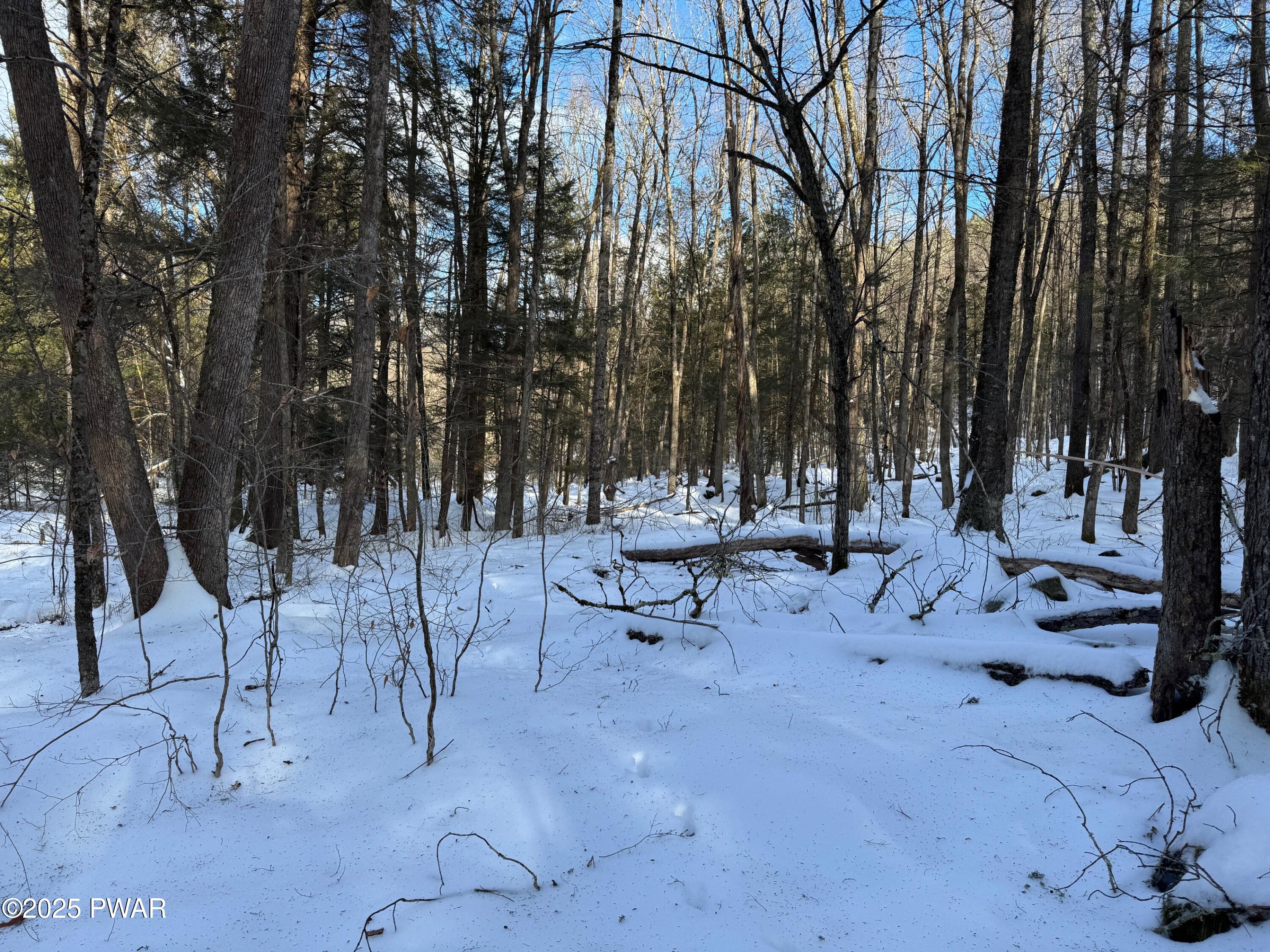 Davis Road Beach Lake, PA 18405 - Photo 2 of 12