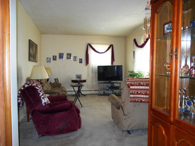 105 West Cleveland Street Spring Valley, IL 61362 - Photo 4 of 14