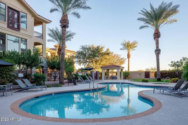 a view of a swimming pool with a bench and palm trees