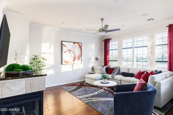 a living room with furniture potted plant and a window