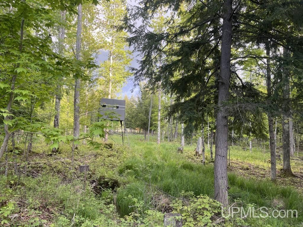 14895 Bellaire Road Baraga, MI 49908 - Photo 42 of 52 Gallery Image 42