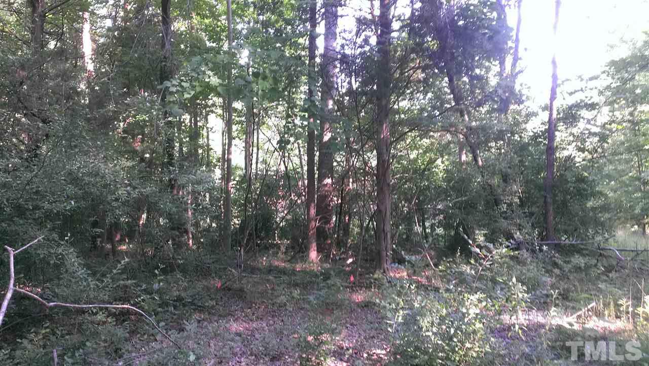 Lot 3 Whitaker Road Mebane, NC 27302 - Photo 2 of 20 Gallery Image 2