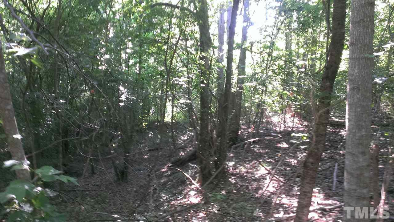Lot 3 Whitaker Road Mebane, NC 27302 - Photo 12 of 20 Gallery Image 12
