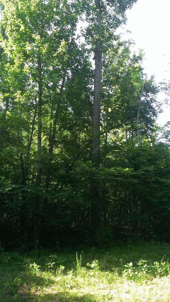 Lot 3 Whitaker Road Mebane, NC 27302 - Photo 14 of 20 Gallery Image 14