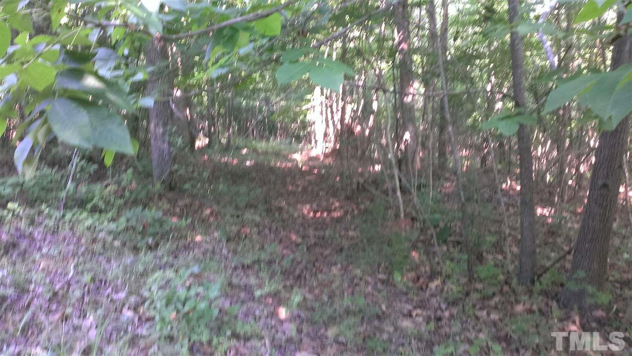 Lot 3 Whitaker Road Mebane, NC 27302 - Photo 17 of 20 Gallery Image 17
