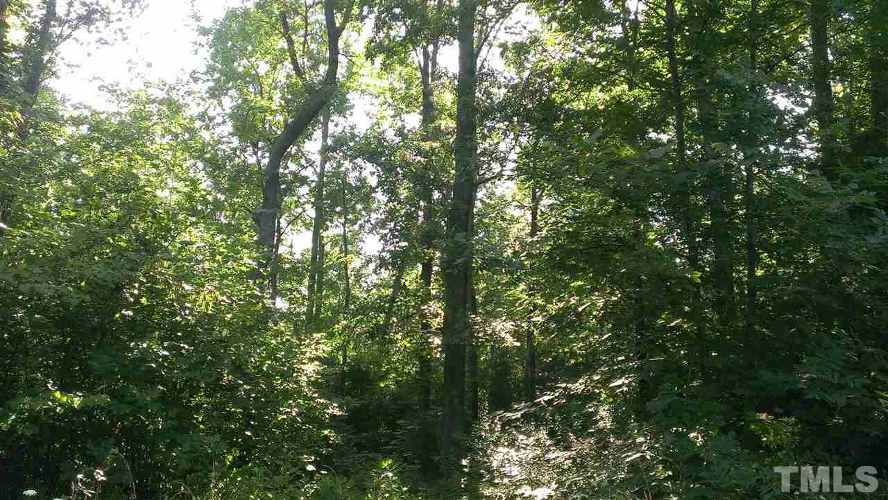 Lot 3 Whitaker Road Mebane, NC 27302 - Photo 18 of 20 Gallery Image 18