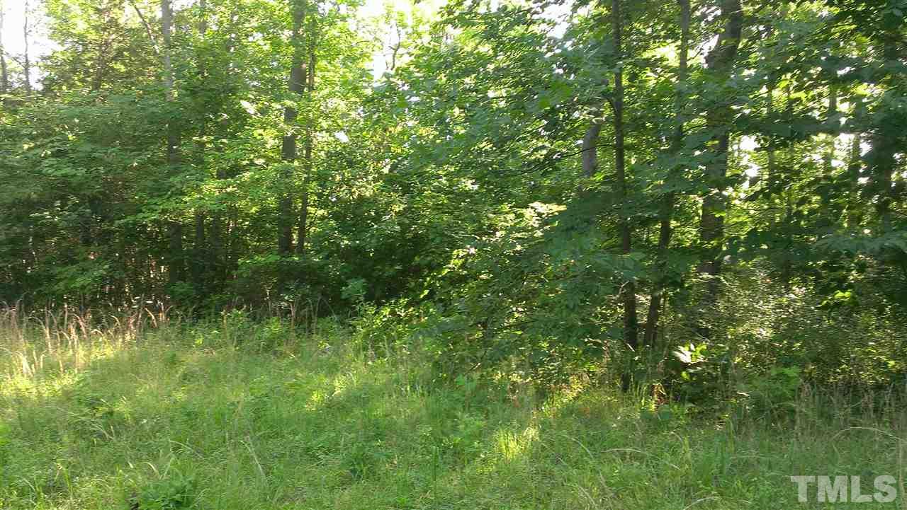 Lot 3 Whitaker Road Mebane, NC 27302 - Photo 4 of 20 Gallery Image 4