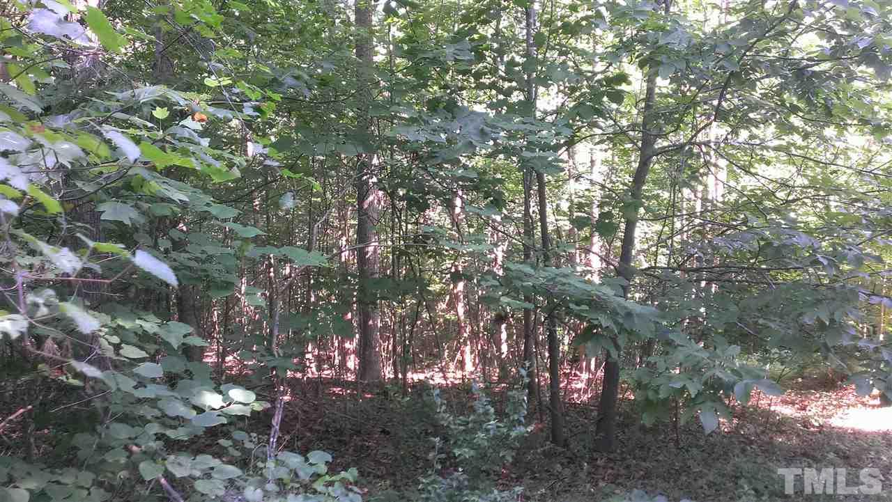 Lot 3 Whitaker Road Mebane, NC 27302 - Photo 6 of 20 Gallery Image 6