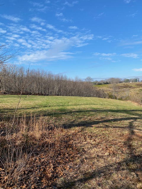 2097 Sandy Level Road Goodview, VA 24095 - Photo 42 of 43 a view of a field with an ocean