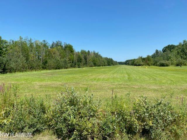 0 Imlay City Road Avoca, MI 48006 - Photo 5 of 10