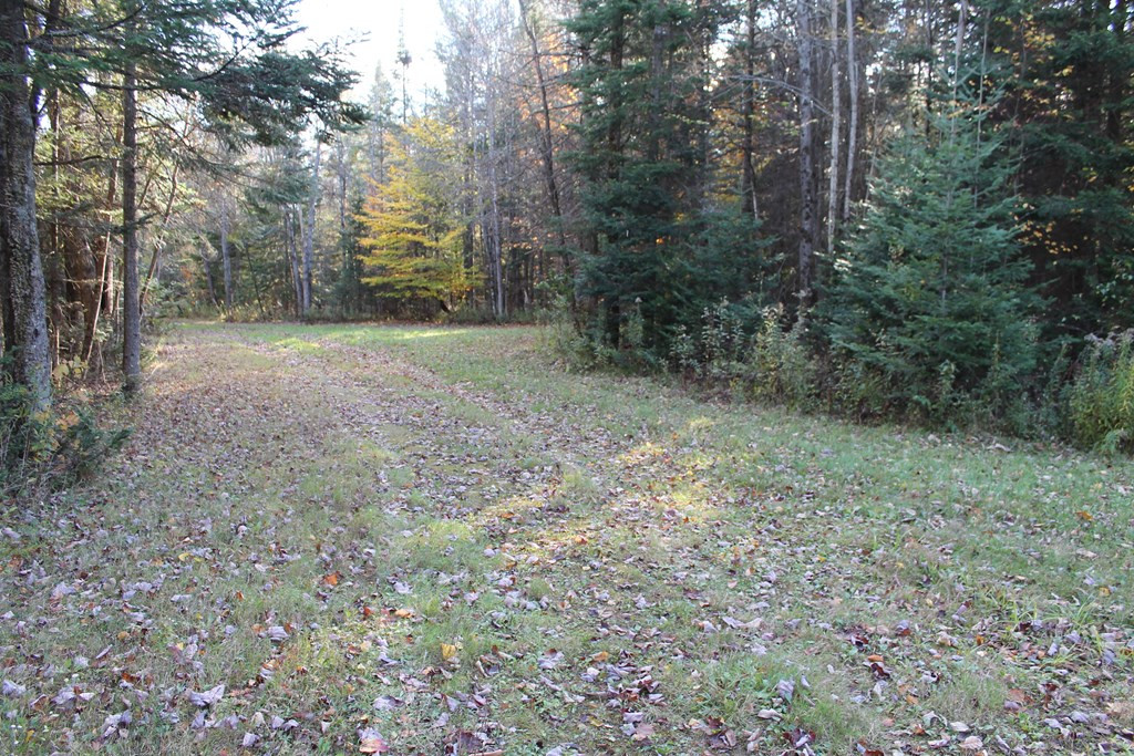 749 Casey Road Saranac, NY 12981 - Photo 17 of 17 Gallery Image 17