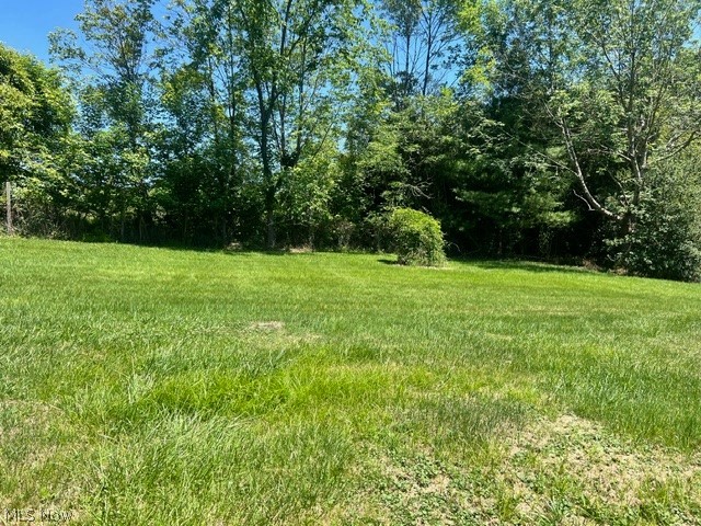 2860 Run-A-Round Road Junction City, OH 43748 - Photo 19 of 22 View of yard