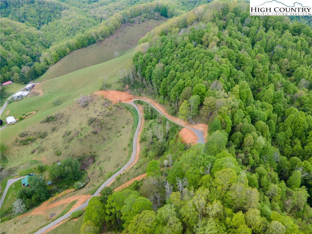 Cabbage Creek Road Creston, NC 28615 - Photo 12 of 24 Gallery Image 12
