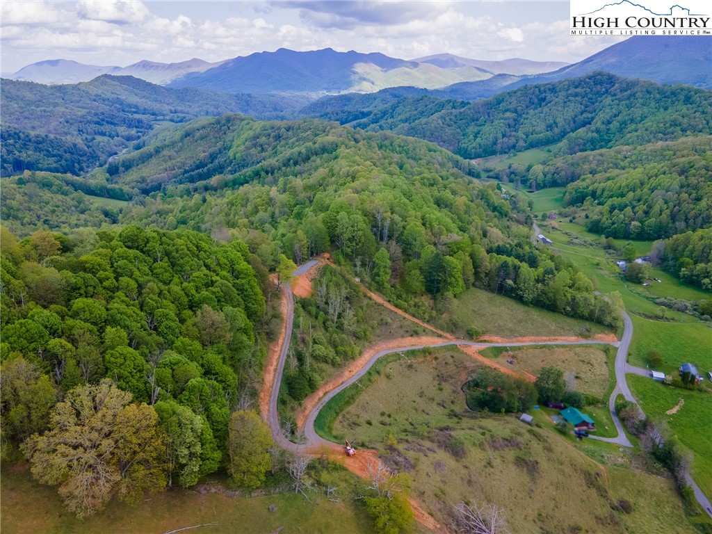 Cabbage Creek Road Creston, NC 28615 - Photo 13 of 24 Gallery Image 13