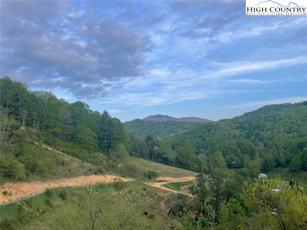 Cabbage Creek Road Creston, NC 28615 - Photo 16 of 24 Gallery Image 16