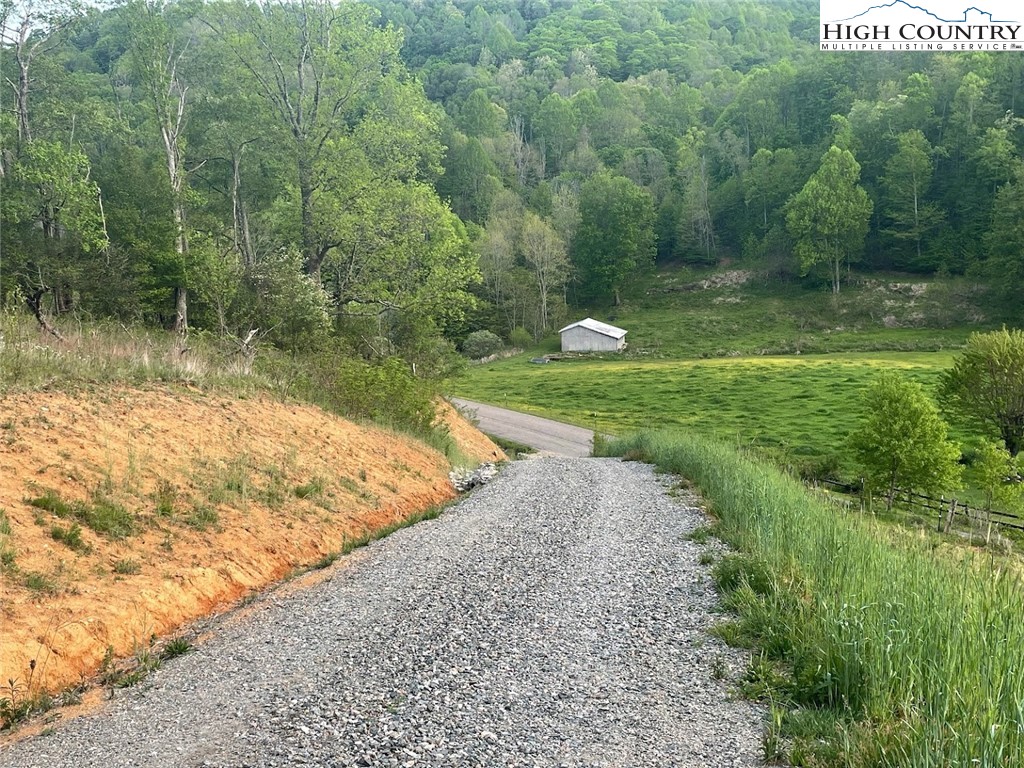 Cabbage Creek Road Creston, NC 28615 - Photo 17 of 24 Gallery Image 17