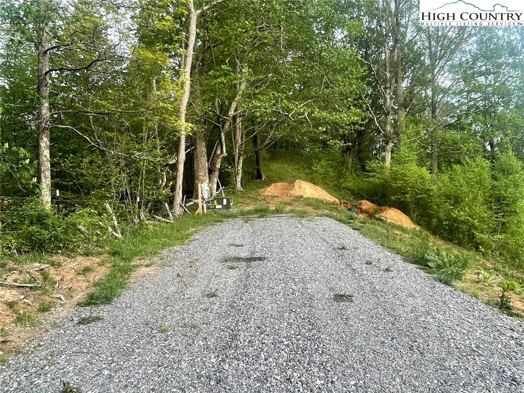 Cabbage Creek Road Creston, NC 28615 - Photo 18 of 24 Gallery Image 18