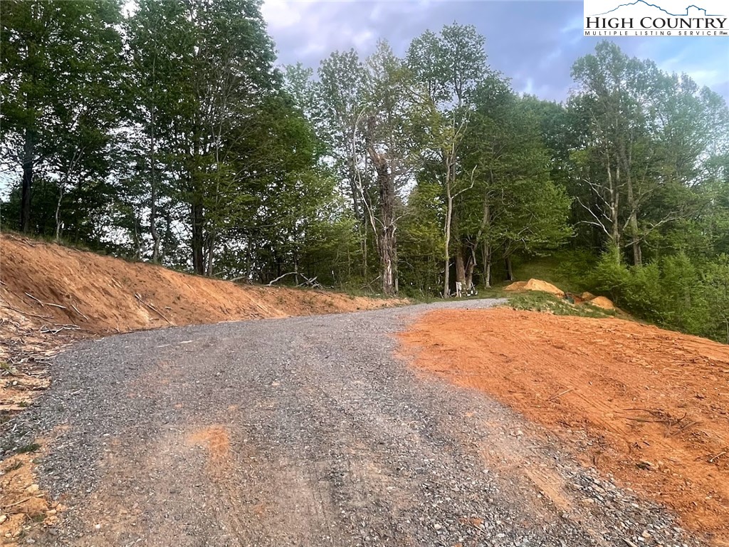 Cabbage Creek Road Creston, NC 28615 - Photo 22 of 24 Gallery Image 22
