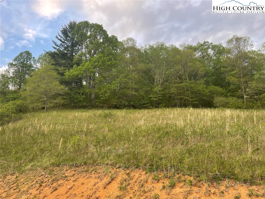 Cabbage Creek Road Creston, NC 28615 - Photo 23 of 24 Gallery Image 23