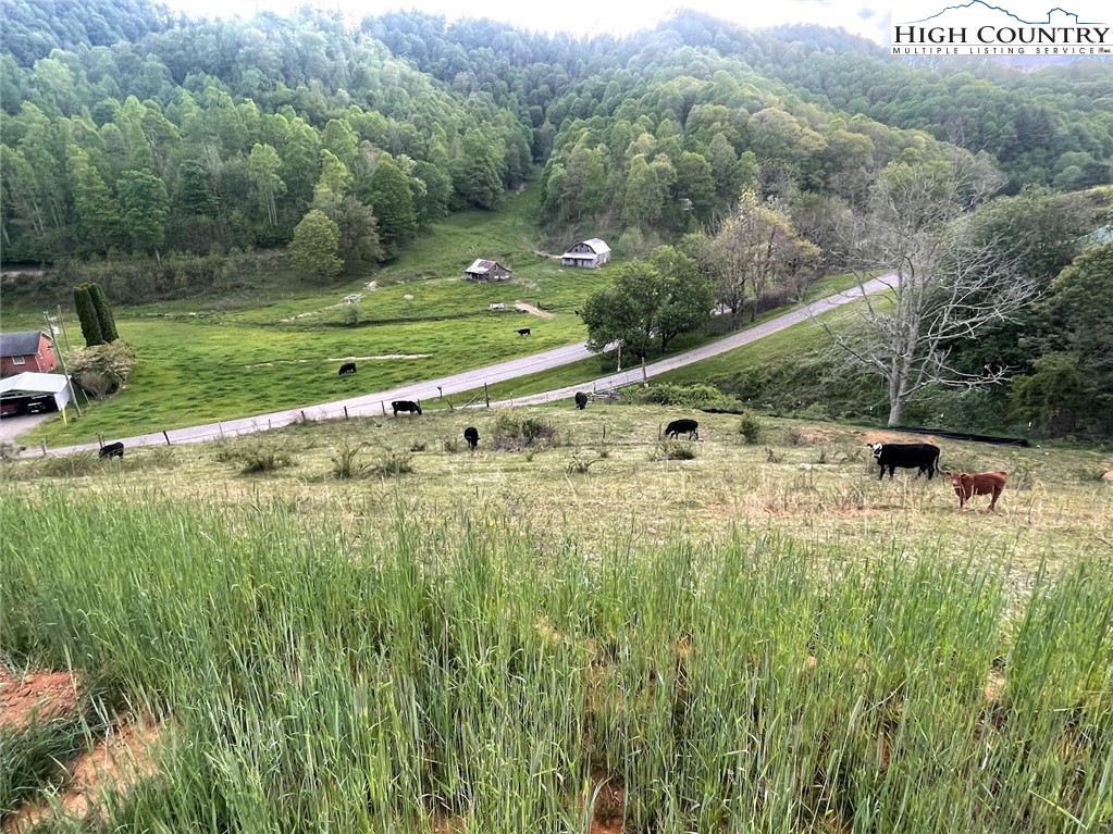 Cabbage Creek Road Creston, NC 28615 - Photo 24 of 24 Gallery Image 24