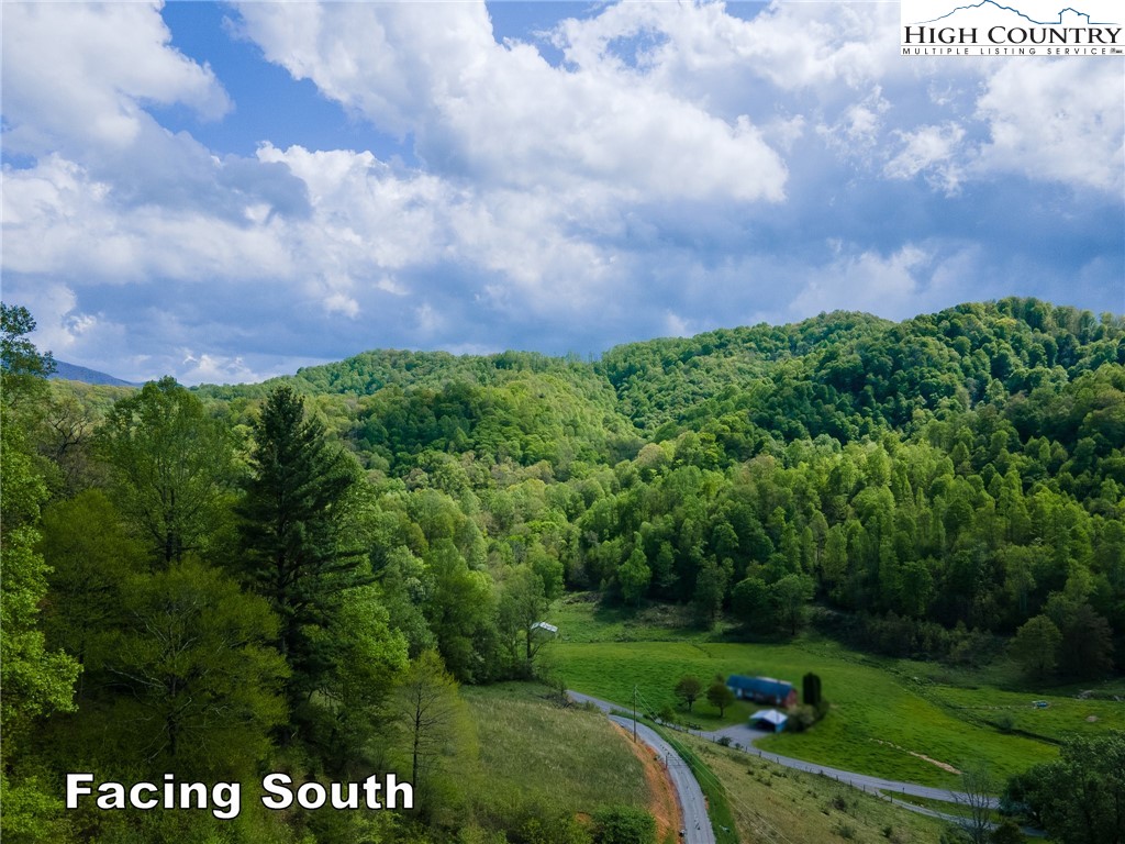 Cabbage Creek Road Creston, NC 28615 - Photo 4 of 24 Gallery Image 4