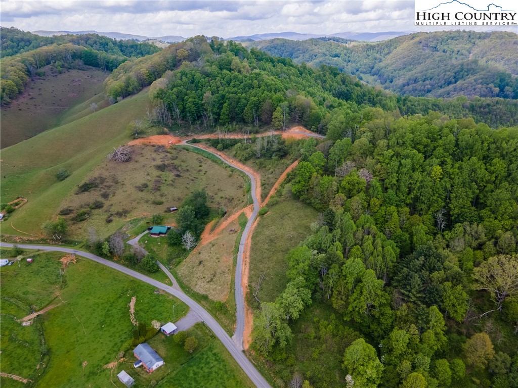 Cabbage Creek Road Creston, NC 28615 - Photo 5 of 24 Gallery Image 5