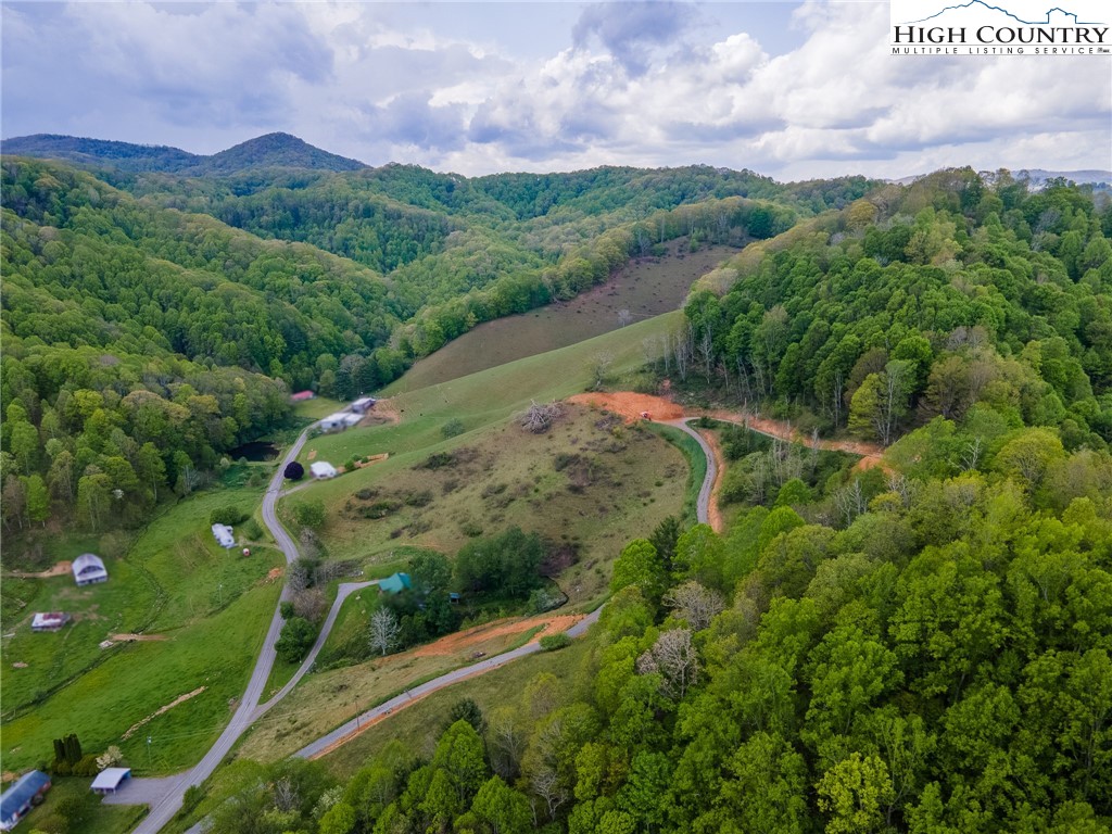 Cabbage Creek Road Creston, NC 28615 - Photo 6 of 24 Gallery Image 6