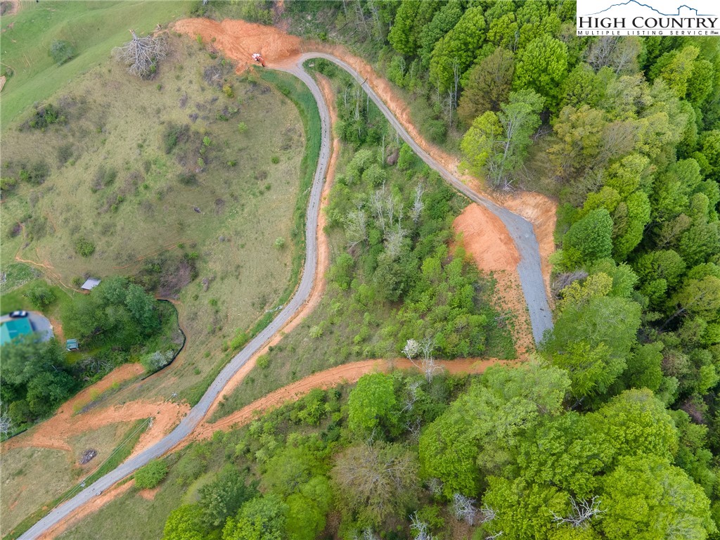 Cabbage Creek Road Creston, NC 28615 - Photo 7 of 24 Gallery Image 7