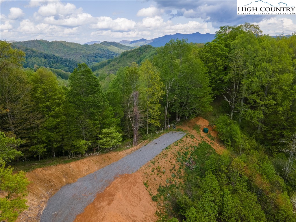 Cabbage Creek Road Creston, NC 28615 - Photo 9 of 24 Gallery Image 9