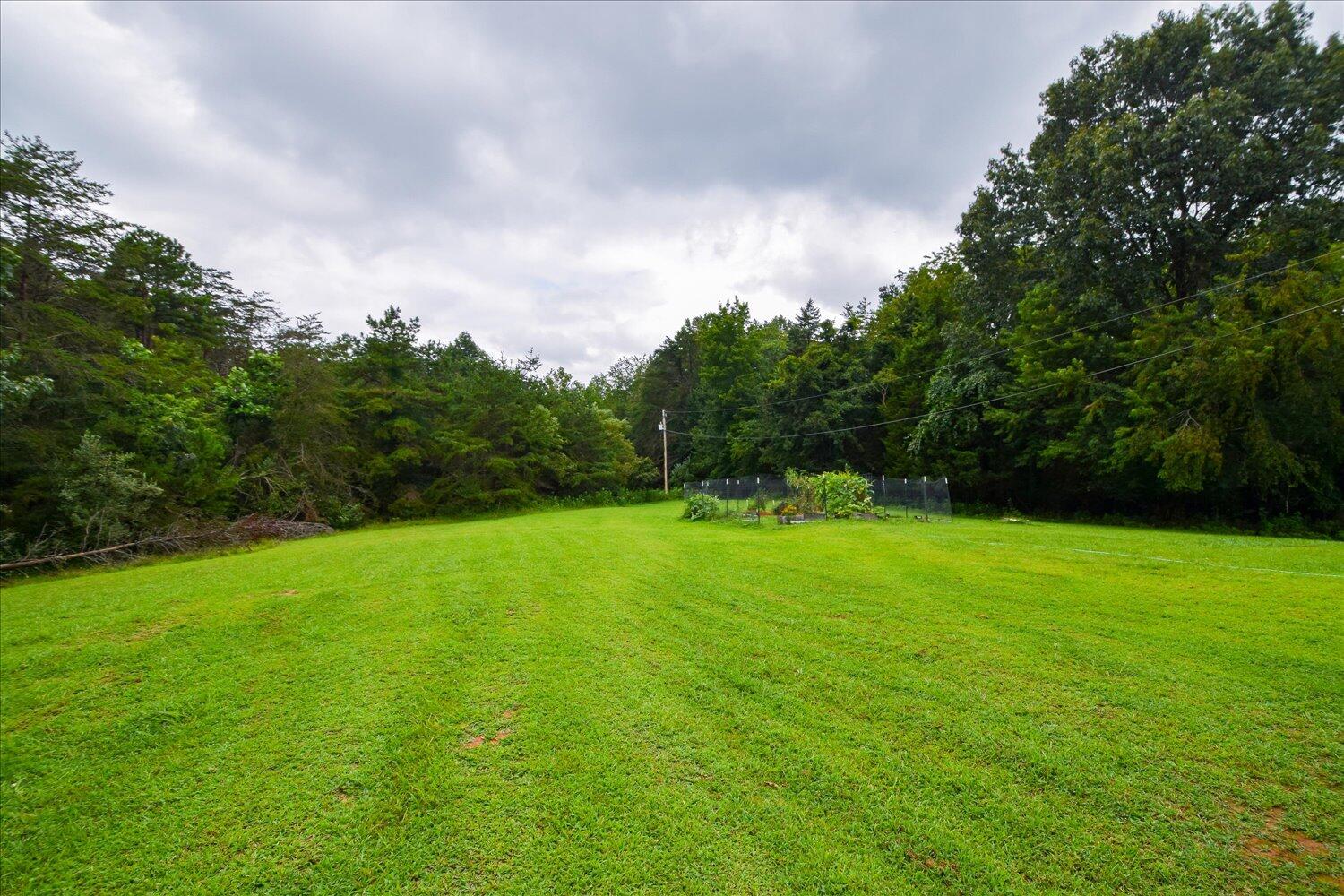 1316 Dudley Road Moneta, VA 24121 - Photo 35 of 37 a view of field with trees in the background
